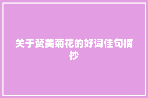 关于赞美菊花的好词佳句摘抄