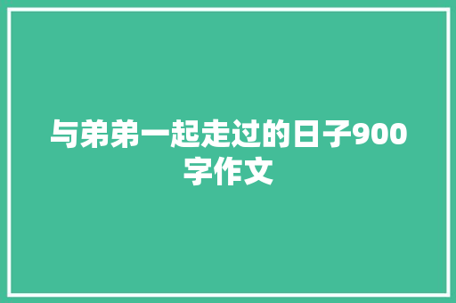 与弟弟一起走过的日子900字作文 范文赏析