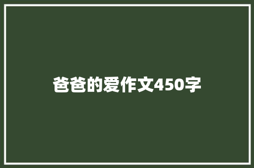 爸爸的爱作文450字 词汇积累