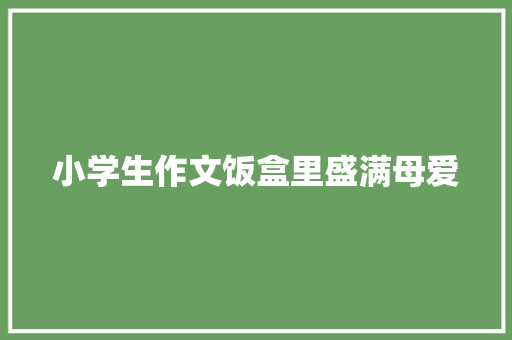 小学生作文饭盒里盛满母爱