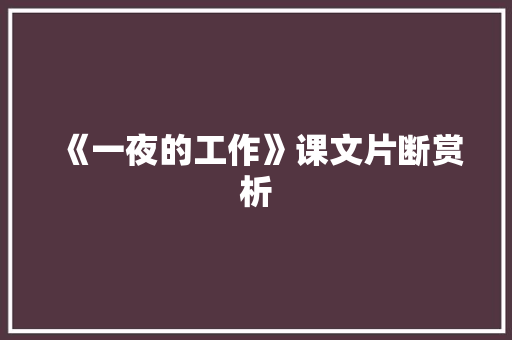 《一夜的工作》课文片断赏析 写作素材