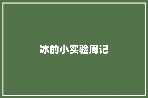 冰的小实验周记 诗歌创作