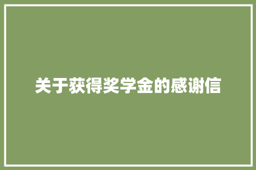 关于获得奖学金的感谢信 词汇积累