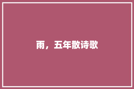 雨，五年散诗歌