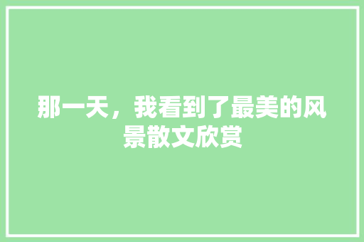 那一天，我看到了最美的风景散文欣赏 范文赏析