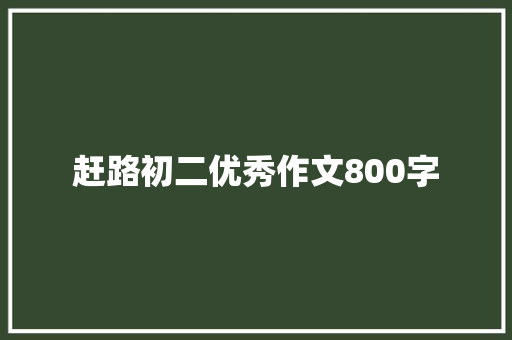 赶路初二优秀作文800字 写作素材