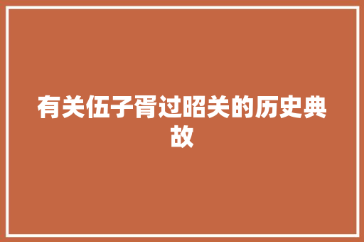 有关伍子胥过昭关的历史典故
