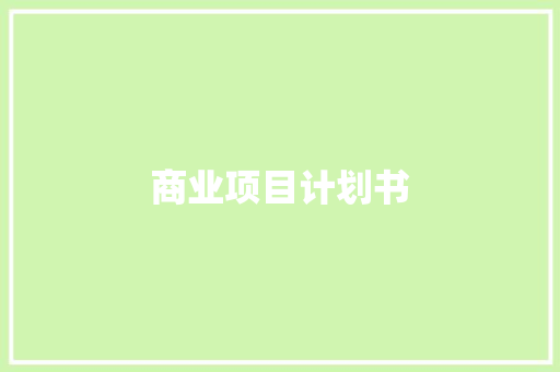 商业项目计划书 写作素材