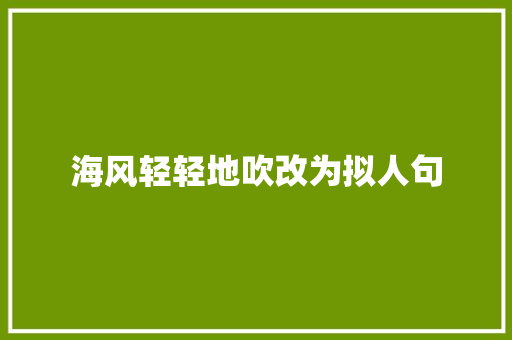 海风轻轻地吹改为拟人句 词汇积累