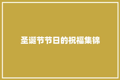 圣诞节节日的祝福集锦
