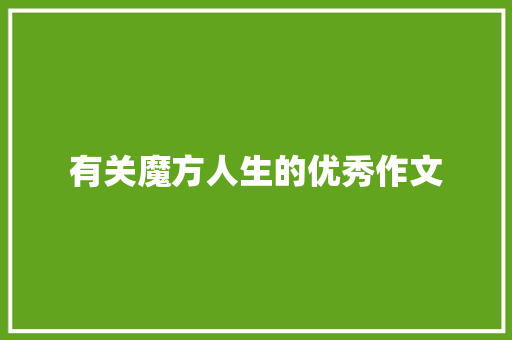 有关魔方人生的优秀作文 简历模板