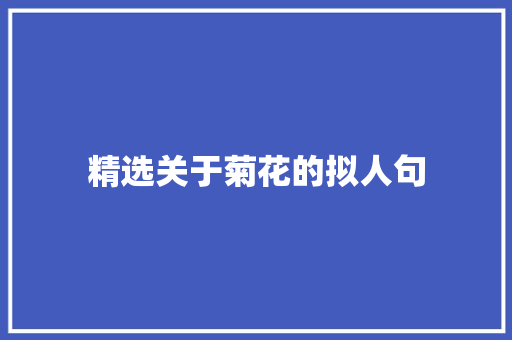 精选关于菊花的拟人句