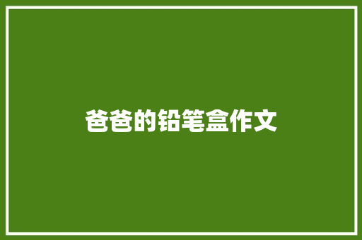 爸爸的铅笔盒作文