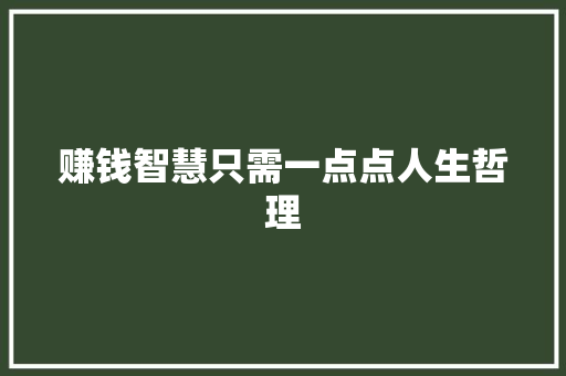 赚钱智慧只需一点点人生哲理 词汇积累