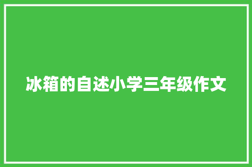 冰箱的自述小学三年级作文 词汇积累