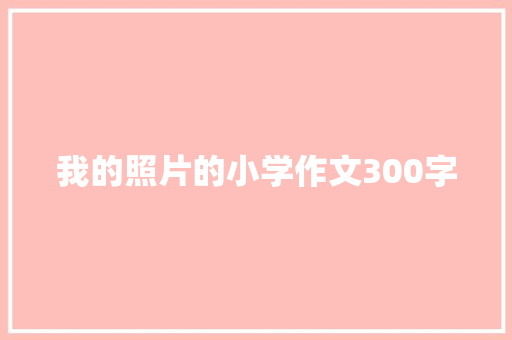 我的照片的小学作文300字 词汇积累