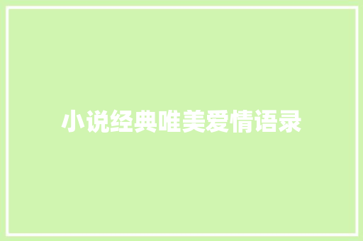 小说经典唯美爱情语录