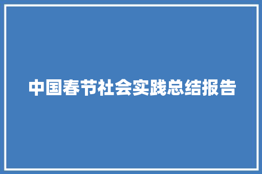 中国春节社会实践总结报告