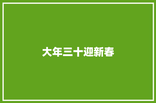 大年三十迎新春