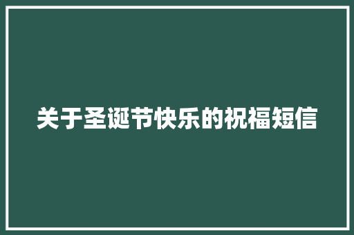 关于圣诞节快乐的祝福短信 写作素材