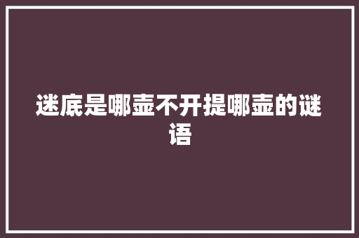 迷底是哪壶不开提哪壶的谜语