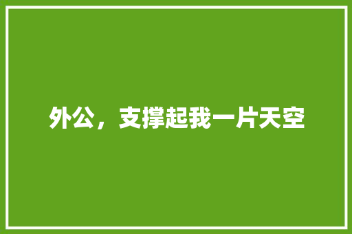 外公，支撑起我一片天空 范文赏析