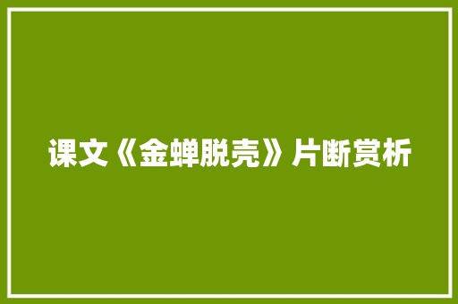课文《金蝉脱壳》片断赏析