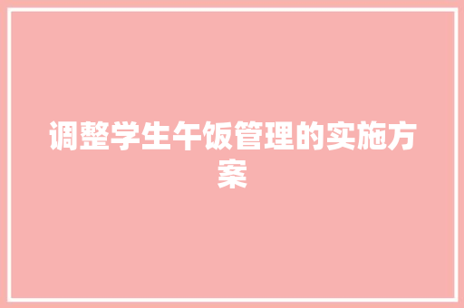 调整学生午饭管理的实施方案 报告写作