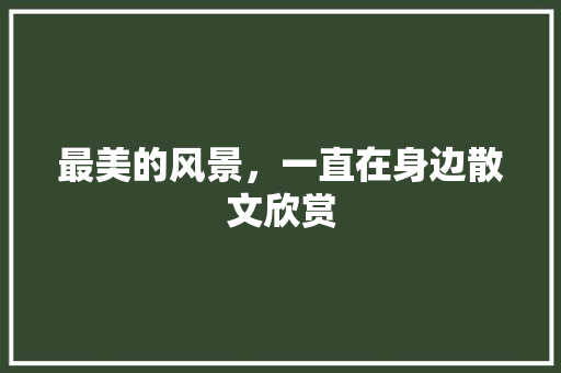 最美的风景，一直在身边散文欣赏 报告写作