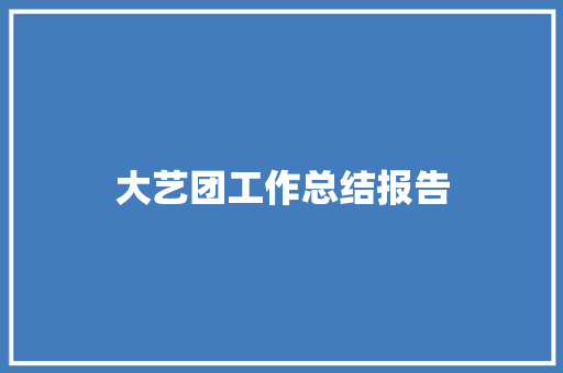 大艺团工作总结报告