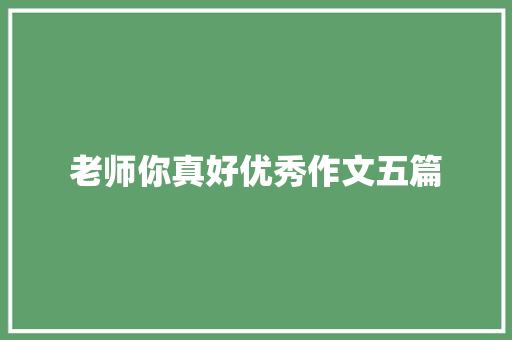 老师你真好优秀作文五篇 词汇积累