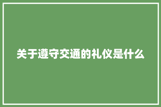 关于遵守交通的礼仪是什么
