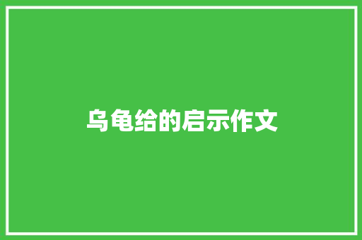 乌龟给的启示作文