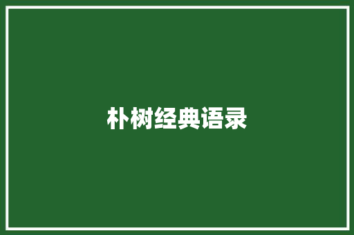 朴树经典语录 写作素材