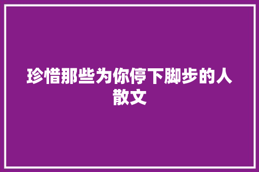 珍惜那些为你停下脚步的人散文