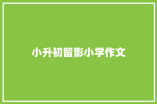 小升初留影小学作文 词汇积累
