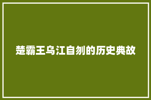 楚霸王乌江自刎的历史典故 商业文案