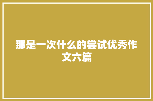 那是一次什么的尝试优秀作文六篇