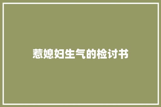 惹媳妇生气的检讨书 简历模板