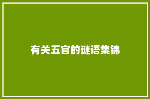 有关五官的谜语集锦 写作技巧