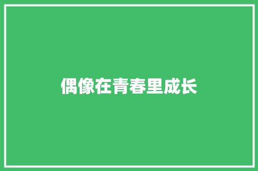偶像在青春里成长 词汇积累