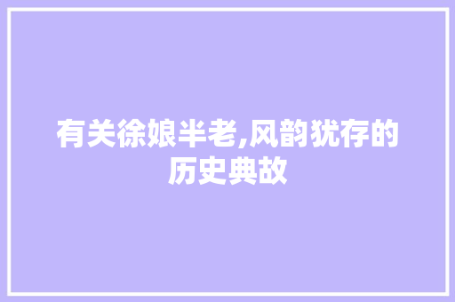 有关徐娘半老,风韵犹存的历史典故 范文赏析