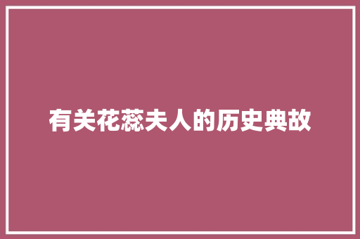有关花蕊夫人的历史典故