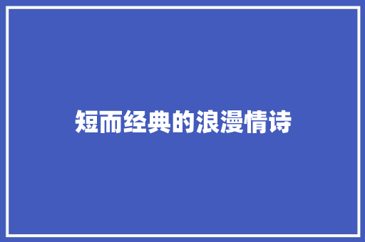 短而经典的浪漫情诗 词汇积累