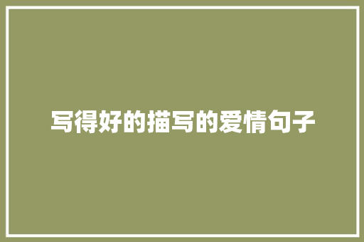 写得好的描写的爱情句子