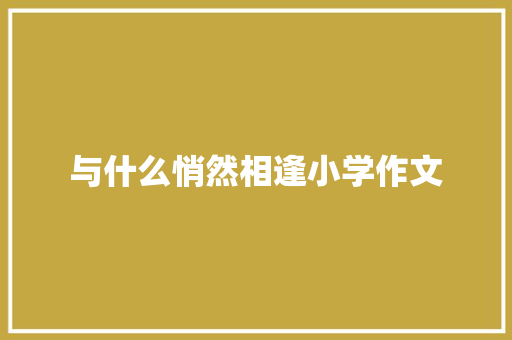 与什么悄然相逢小学作文