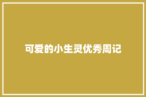 可爱的小生灵优秀周记 简历模板