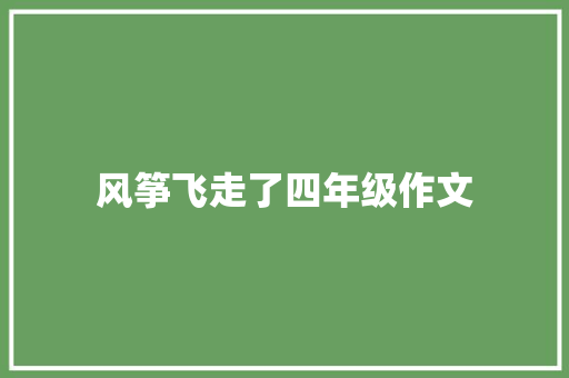 风筝飞走了四年级作文 报告写作