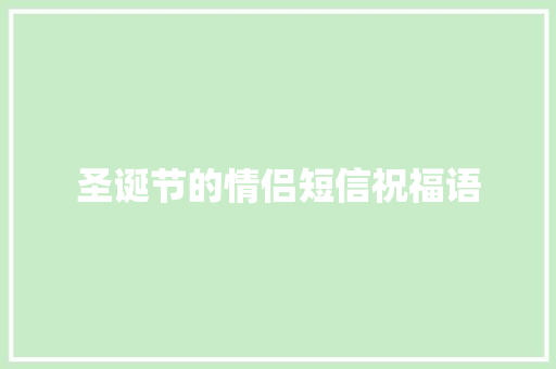 圣诞节的情侣短信祝福语 词汇积累