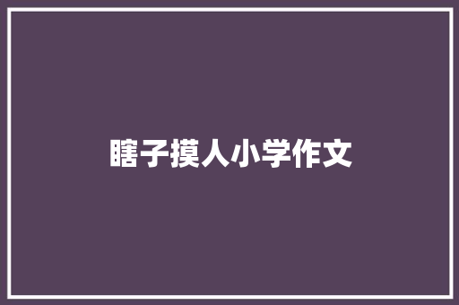 瞎子摸人小学作文 范文赏析